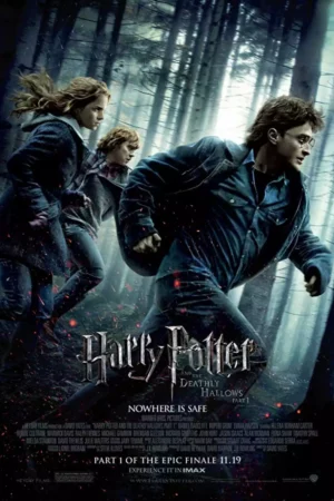 Harry Potter and the Deathly Hallows Part 1 (2010)