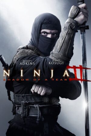 Ninja Shadow Of A Tear Movie 2013