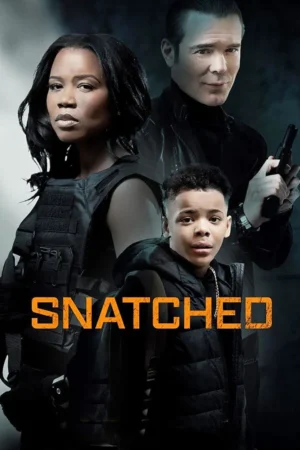 Snatched Movie 2024